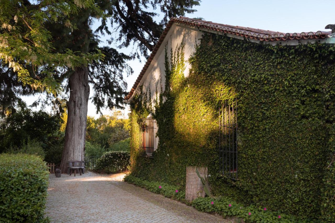 Imani Country House Evora Exterior photo